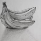 Kresba banánů obyčejnou tužkou