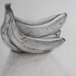 Banány - studie, kresba tužkou na papír