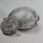 Studie citronu - kresba tužkou